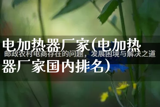 电加热器厂家(电加热器厂家国内排名)_https://www.gdbxwh.com_直通车_第1张
