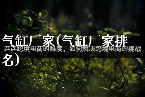 气缸厂家(气缸厂家排名)_https://www.gdbxwh.com_天猫运营_第1张