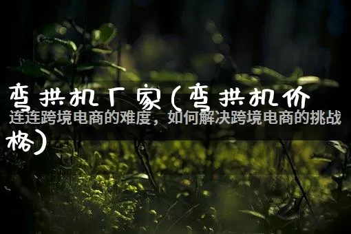 弯拱机厂家(弯拱机价格)_https://www.gdbxwh.com_代运营_第1张
