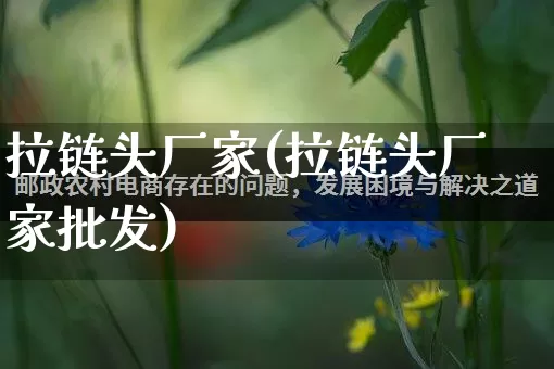 拉链头厂家(拉链头厂家批发)_https://www.gdbxwh.com_代运营_第1张