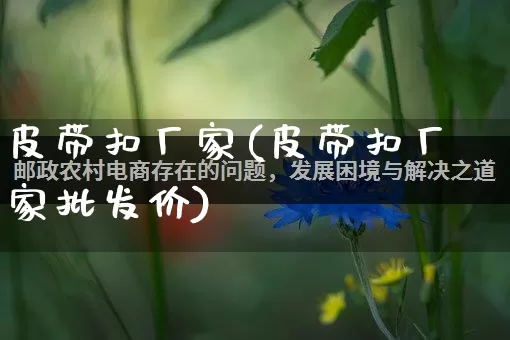 皮带扣厂家(皮带扣厂家批发价)_https://www.gdbxwh.com_代运营_第1张