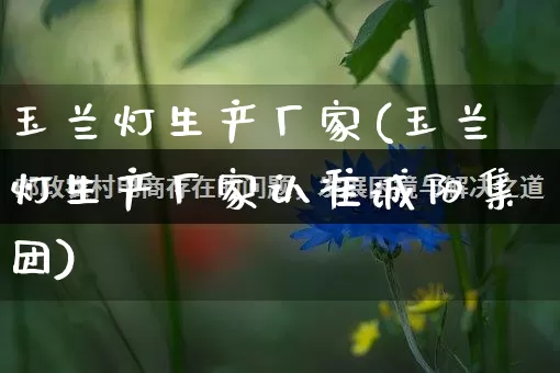 玉兰灯生产厂家(玉兰灯生产厂家认准诚阳集团)_https://www.gdbxwh.com_淘宝运营_第1张