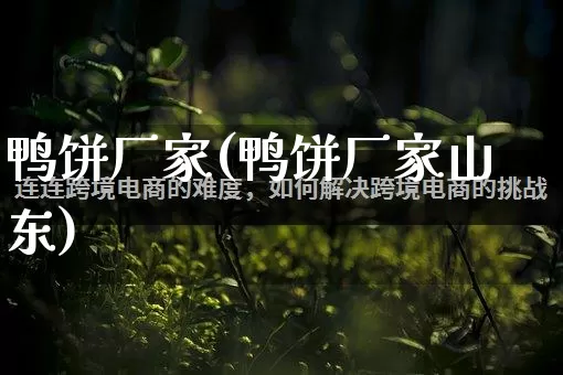 鸭饼厂家(鸭饼厂家山东)_https://www.gdbxwh.com_代运营_第1张
