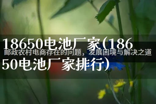 18650电池厂家(18650电池厂家排行)_https://www.gdbxwh.com_淘宝运营_第1张