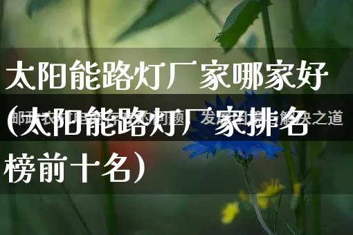 太阳能路灯厂家哪家好(太阳能路灯厂家排名榜前十名)_https://www.gdbxwh.com_抖音快手_第1张
