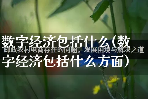 数字经济包括什么(数字经济包括什么方面)_https://www.gdbxwh.com_开网店_第1张