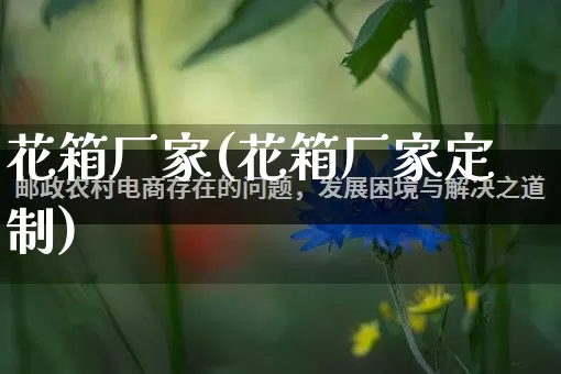 花箱厂家(花箱厂家定制)_https://www.gdbxwh.com_直通车_第1张