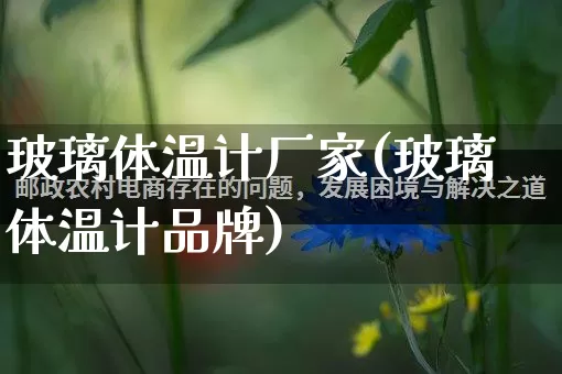 玻璃体温计厂家(玻璃体温计品牌)_https://www.gdbxwh.com_淘宝运营_第1张
