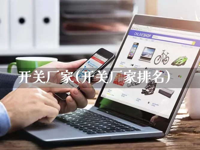 开关厂家(开关厂家排名)_https://www.gdbxwh.com_开网店_第1张