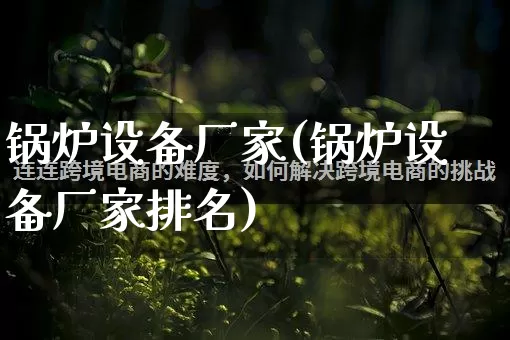 锅炉设备厂家(锅炉设备厂家排名)_https://www.gdbxwh.com_天猫运营_第1张