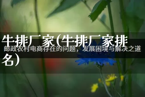 牛排厂家(牛排厂家排名)_https://www.gdbxwh.com_淘宝运营_第1张