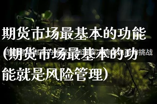 期货市场最基本的功能(期货市场最基本的功能就是风险管理)_代运营_第1张_电商运营网 期货市场最基本的功能(期货市场最基本的功能就是风险管理)_https://www.gdbxwh.com_代运营_第1张