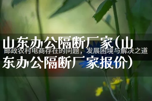 山东办公隔断厂家(山东办公隔断厂家报价)_https://www.gdbxwh.com_代运营_第1张