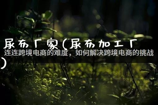 尿布厂家(尿布加工厂)_https://www.gdbxwh.com_淘宝运营_第1张