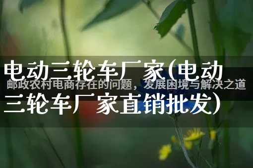 电动三轮车厂家(电动三轮车厂家直销批发)_https://www.gdbxwh.com_直通车_第1张