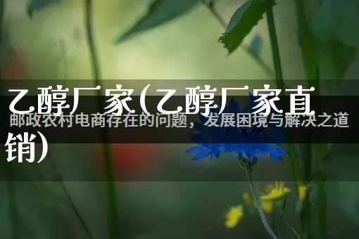 乙醇厂家(乙醇厂家直销)_https://www.gdbxwh.com_淘宝运营_第1张