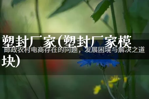 塑封厂家(塑封厂家模块)_https://www.gdbxwh.com_直通车_第1张