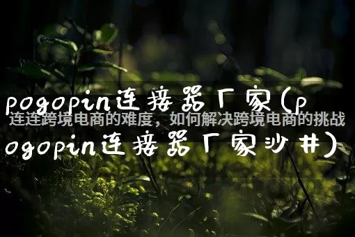 pogopin连接器厂家(pogopin连接器厂家沙井)_https://www.gdbxwh.com_开网店_第1张