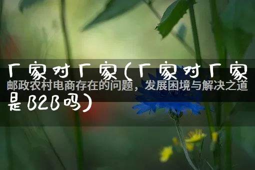 厂家对厂家(厂家对厂家是B2B吗)_https://www.gdbxwh.com_抖音快手_第1张