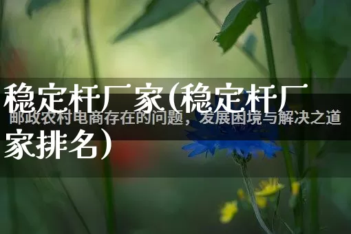 稳定杆厂家(稳定杆厂家排名)_https://www.gdbxwh.com_开网店_第1张
