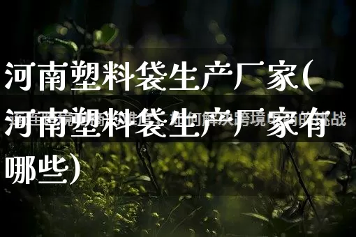 河南塑料袋生产厂家(河南塑料袋生产厂家有哪些)_https://www.gdbxwh.com_代运营_第1张