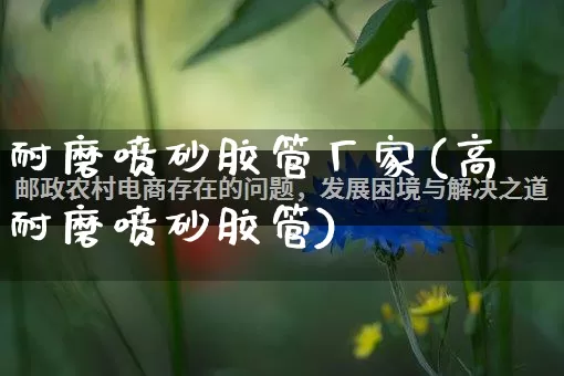 耐磨喷砂胶管厂家(高耐磨喷砂胶管)_https://www.gdbxwh.com_直通车_第1张