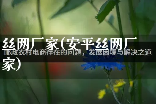 丝网厂家(安平丝网厂家)_https://www.gdbxwh.com_淘宝运营_第1张