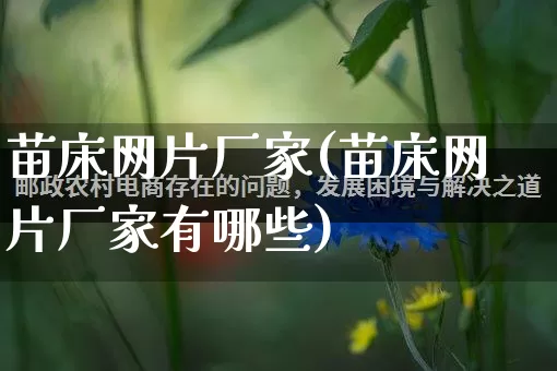 苗床网片厂家(苗床网片厂家有哪些)_https://www.gdbxwh.com_代运营_第1张
