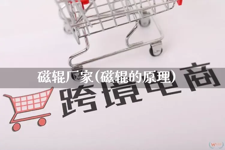 磁辊厂家(磁辊的原理)_https://www.gdbxwh.com_抖音快手_第1张