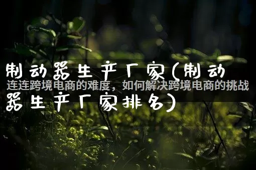 制动器生产厂家(制动器生产厂家排名)_https://www.gdbxwh.com_淘宝运营_第1张