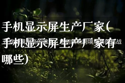 手机显示屏生产厂家(手机显示屏生产厂家有哪些)_https://www.gdbxwh.com_代运营_第1张
