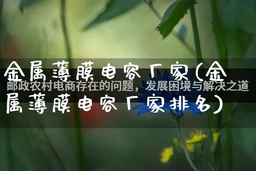金属薄膜电容厂家(金属薄膜电容厂家排名)_https://www.gdbxwh.com_开网店_第1张