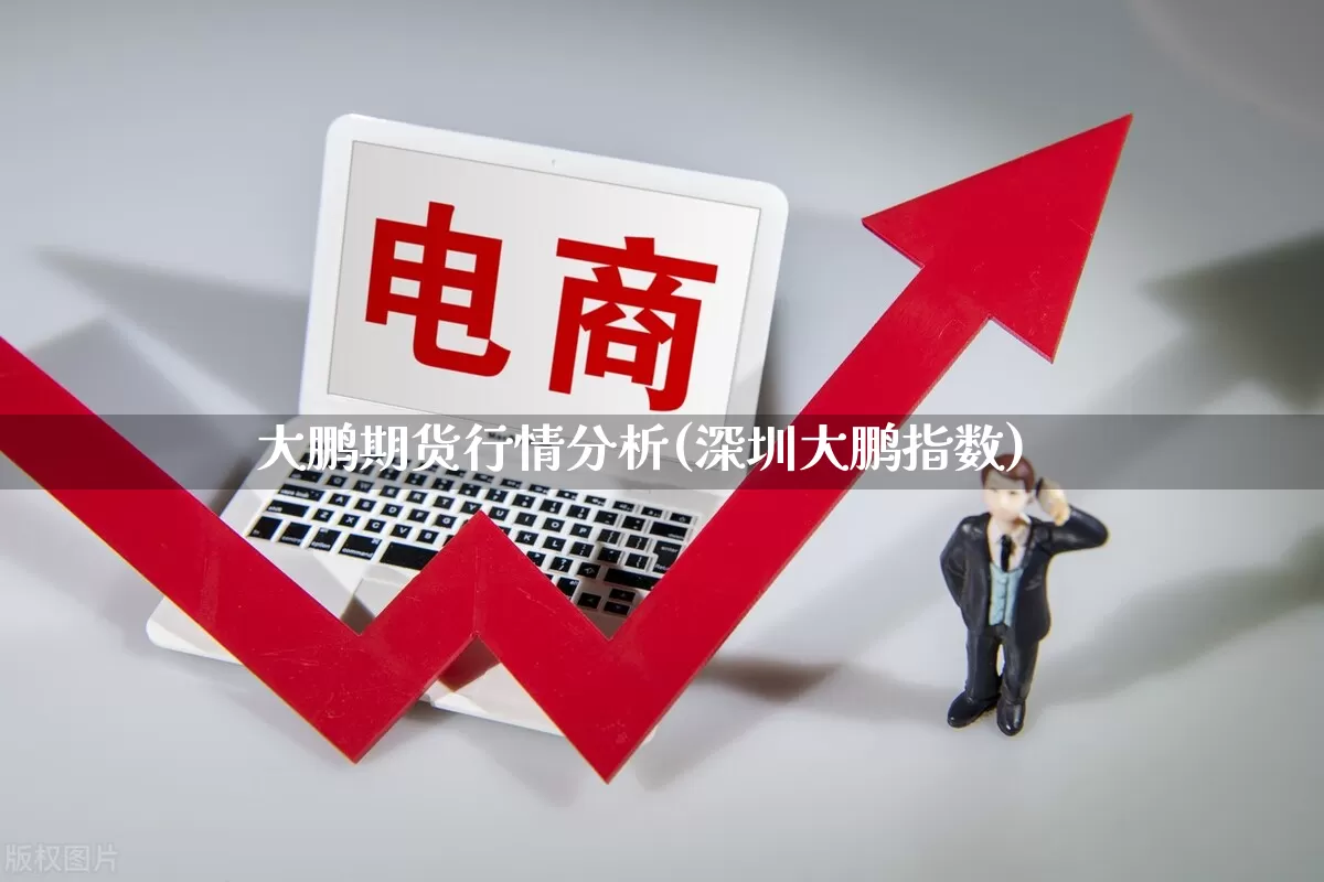 大鹏期货行情分析(深圳大鹏指数)_https://www.gdbxwh.com_代运营_第1张