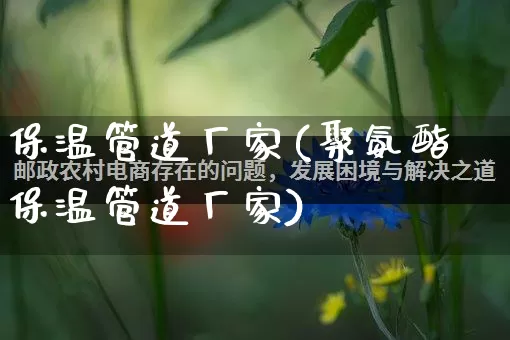 保温管道厂家(聚氨酯保温管道厂家)_https://www.gdbxwh.com_淘宝运营_第1张