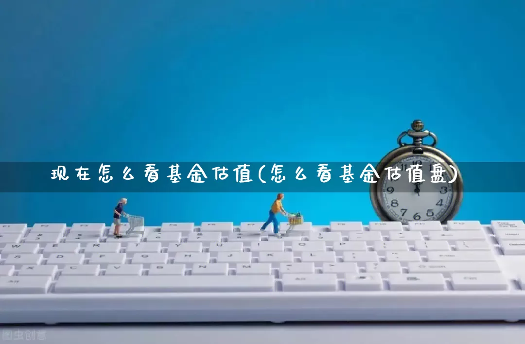 现在怎么看基金估值(怎么看基金估值盘)_https://www.gdbxwh.com_开网店_第1张