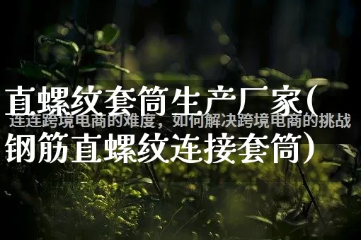 直螺纹套筒生产厂家(钢筋直螺纹连接套筒)_https://www.gdbxwh.com_开网店_第1张