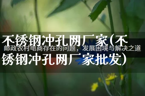 不锈钢冲孔网厂家(不锈钢冲孔网厂家批发)_https://www.gdbxwh.com_开网店_第1张