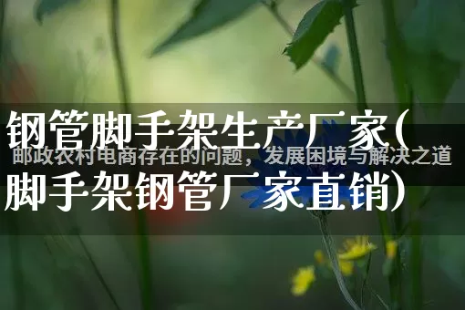 钢管脚手架生产厂家(脚手架钢管厂家直销)_https://www.gdbxwh.com_淘宝运营_第1张