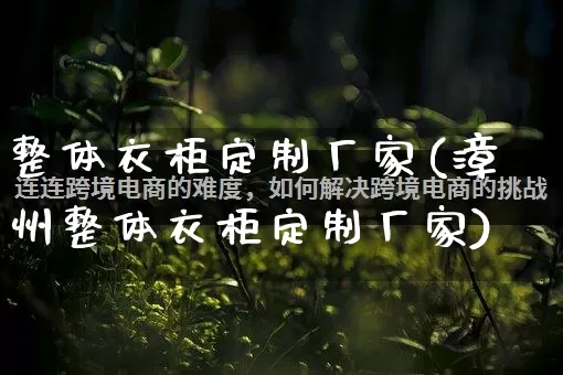 整体衣柜定制厂家(漳州整体衣柜定制厂家)_https://www.gdbxwh.com_淘宝运营_第1张