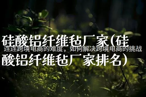 硅酸铝纤维毡厂家(硅酸铝纤维毡厂家排名)_https://www.gdbxwh.com_开网店_第1张