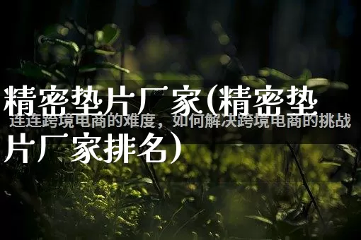 精密垫片厂家(精密垫片厂家排名)_https://www.gdbxwh.com_开网店_第1张