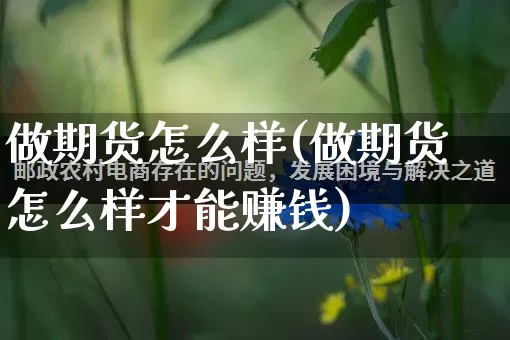 做期货怎么样(做期货怎么样才能赚钱)_https://www.gdbxwh.com_开网店_第1张