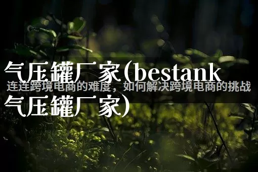 气压罐厂家(bestank气压罐厂家)_https://www.gdbxwh.com_淘宝运营_第1张