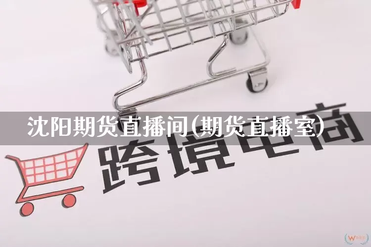 沈阳期货直播间(期货直播室)_https://www.gdbxwh.com_淘宝运营_第1张