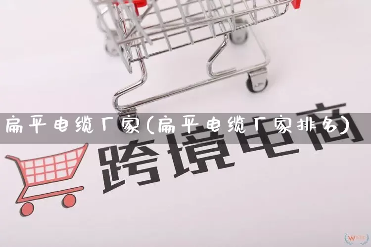 扁平电缆厂家(扁平电缆厂家排名)_https://www.gdbxwh.com_淘宝运营_第1张