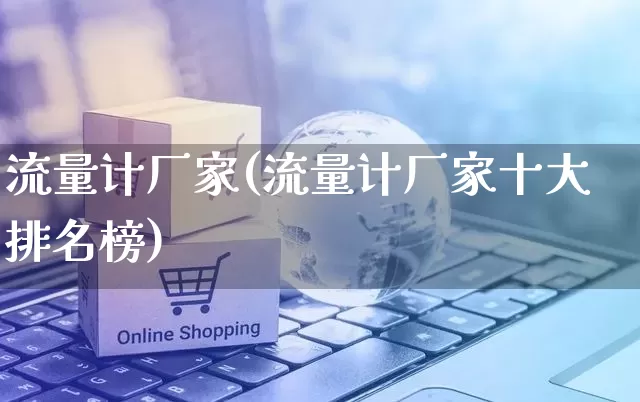 流量计厂家(流量计厂家十大排名榜)_https://www.gdbxwh.com_开网店_第1张