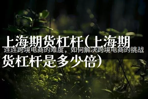 上海期货杠杆(上海期货杠杆是多少倍)_https://www.gdbxwh.com_天猫运营_第1张