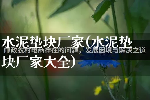 水泥垫块厂家(水泥垫块厂家大全)_https://www.gdbxwh.com_淘宝运营_第1张