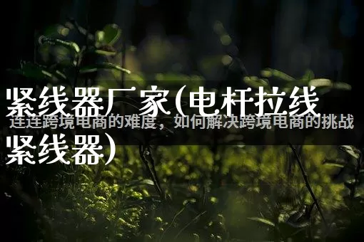 紧线器厂家(电杆拉线紧线器)_https://www.gdbxwh.com_淘宝运营_第1张
