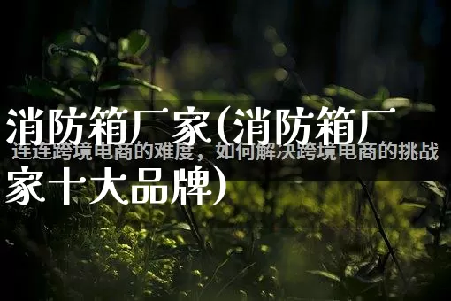 消防箱厂家(消防箱厂家十大品牌)_https://www.gdbxwh.com_抖音快手_第1张